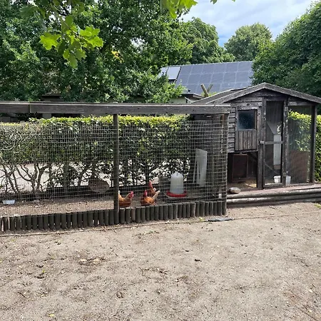 Family Farmhouse With Go-Karts-2